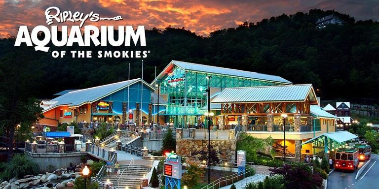 Modern Style, Arcade, Fire Pit, Pet Friendly Vila Pigeon Forge Exterior foto